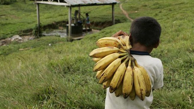 trabajo infantil peru.jpg
